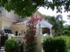 8-7-07_008.jpg
